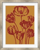 Tulip 15 Fine Art Print