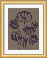 Tulip 14 Fine Art Print