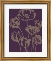 Tulip 13 Fine Art Print