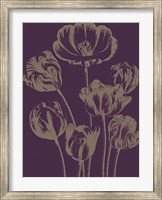 Tulip 13 Fine Art Print