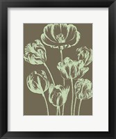 Tulip 12 Fine Art Print