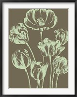 Tulip 12 Fine Art Print