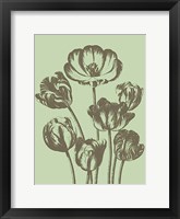 Tulip 11 Fine Art Print