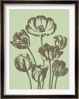 Tulip 11 Fine Art Print