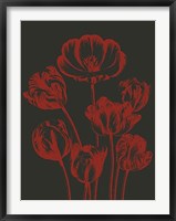 Tulip 10 Fine Art Print
