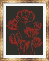 Tulip 10 Fine Art Print