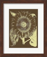 Sunflower 3 Fine Art Print