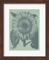 Sunflower 8 Fine Art Print