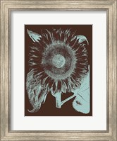 Sunflower 17 Fine Art Print