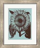 Sunflower 18 Fine Art Print