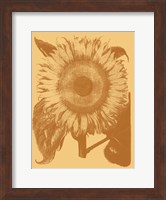 Sunflower 19 Fine Art Print
