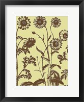 Chrysanthemum 4 Fine Art Print