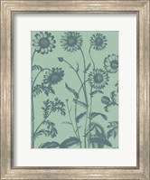 Chrysanthemum 8 Fine Art Print