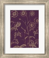 Chrysanthemum 13 Fine Art Print