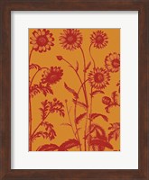 Chrysanthemum 15 Fine Art Print