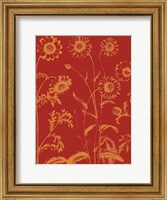 Chrysanthemum 16 Fine Art Print
