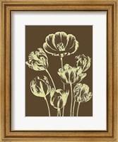 Tulip 4 Fine Art Print