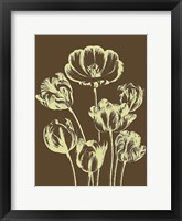 Tulip 4 Fine Art Print