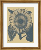 Sunflower 1 Fine Art Print