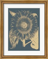 Sunflower 2 Fine Art Print