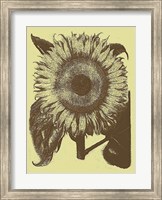 Sunflower 4 Fine Art Print