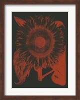 Sunflower 10 Fine Art Print