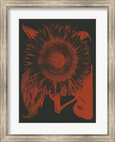 Sunflower 10 Fine Art Print