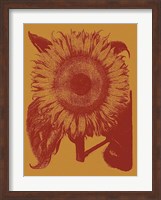 Sunflower 15 Fine Art Print