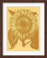 Sunflower 19 Fine Art Print
