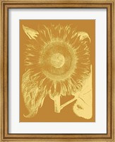 Sunflower 20 Fine Art Print
