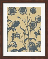 Chrysanthemum 1 Fine Art Print