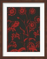 Chrysanthemum 10 Fine Art Print