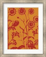 Chrysanthemum 15 Fine Art Print