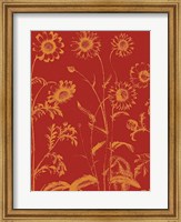 Chrysanthemum 16 Fine Art Print