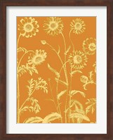 Chrysanthemum 20 Fine Art Print