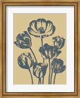 Tulip 1 Fine Art Print