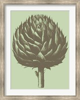 Artichoke 11 Fine Art Print