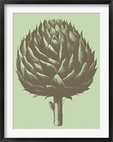 Artichoke 11 Fine Art Print