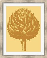 Artichoke 19 Fine Art Print