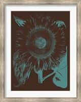 Sunflower 6 Fine Art Print