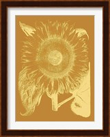 Sunflower 20 Fine Art Print