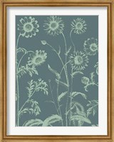 Chrysanthemum 7 Fine Art Print
