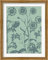 Chrysanthemum 8 Fine Art Print