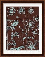 Chrysanthemum 17 Fine Art Print