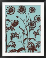 Chrysanthemum 18 Fine Art Print