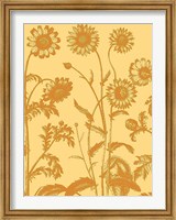 Chrysanthemum 19 Fine Art Print