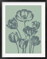 Tulip 8 Fine Art Print