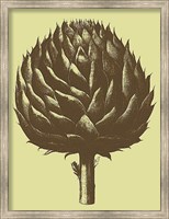 Artichoke 3 Fine Art Print