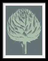 Artichoke 7 Fine Art Print