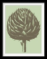 Artichoke 11 Fine Art Print